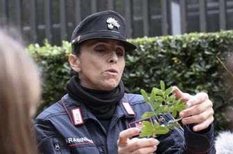 Carabinieri Forestali