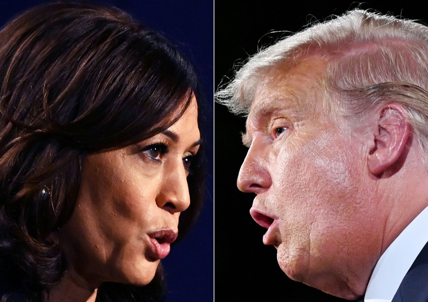 Donald Trump e Kamala Harris