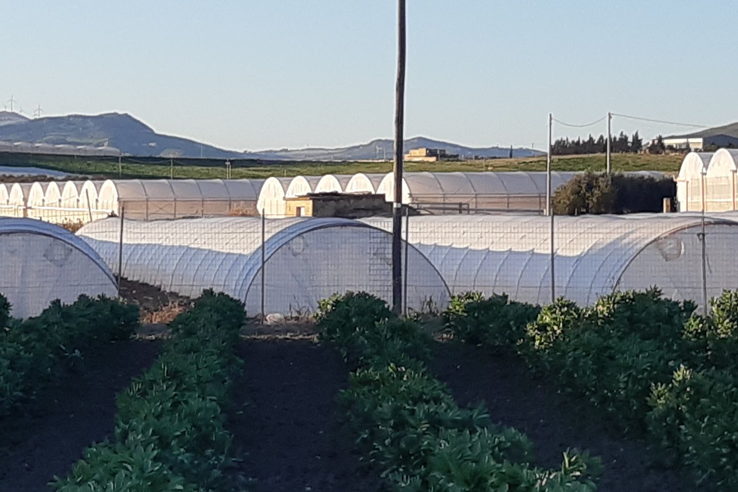 Tra le serre di Licata la casa in cui &egrave; &egrave; avvenuta la strage