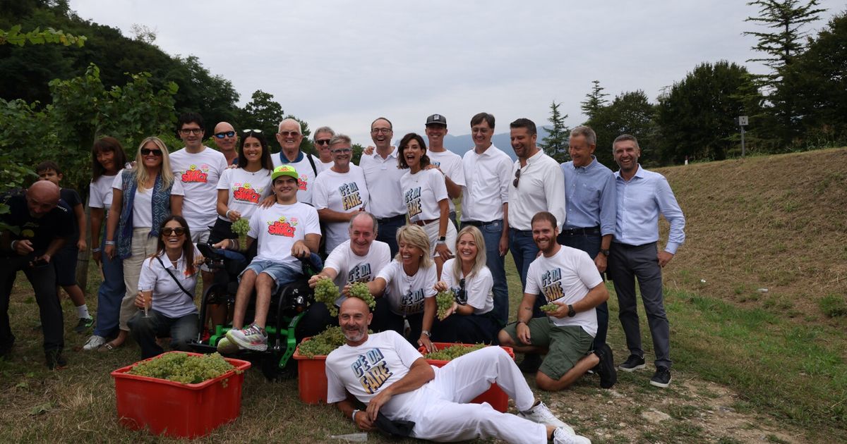 Les vendanges solidaires sont de retour, Paolo Kessisoglu vigneron d’un jour