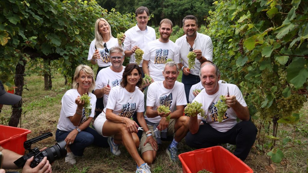 Les vendanges solidaires sont de retour, Paolo Kessisoglu vigneron d'un jour