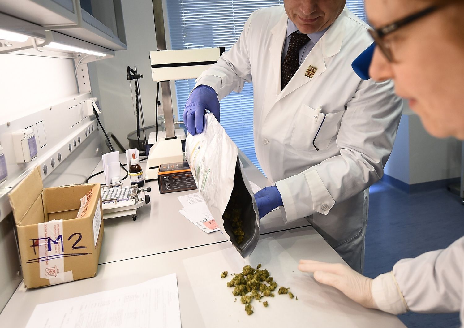 Lo stabilimento chimico farmaceutico militare di Firenze, che ha avviato la produzione di cannabis terapeutica in Italia