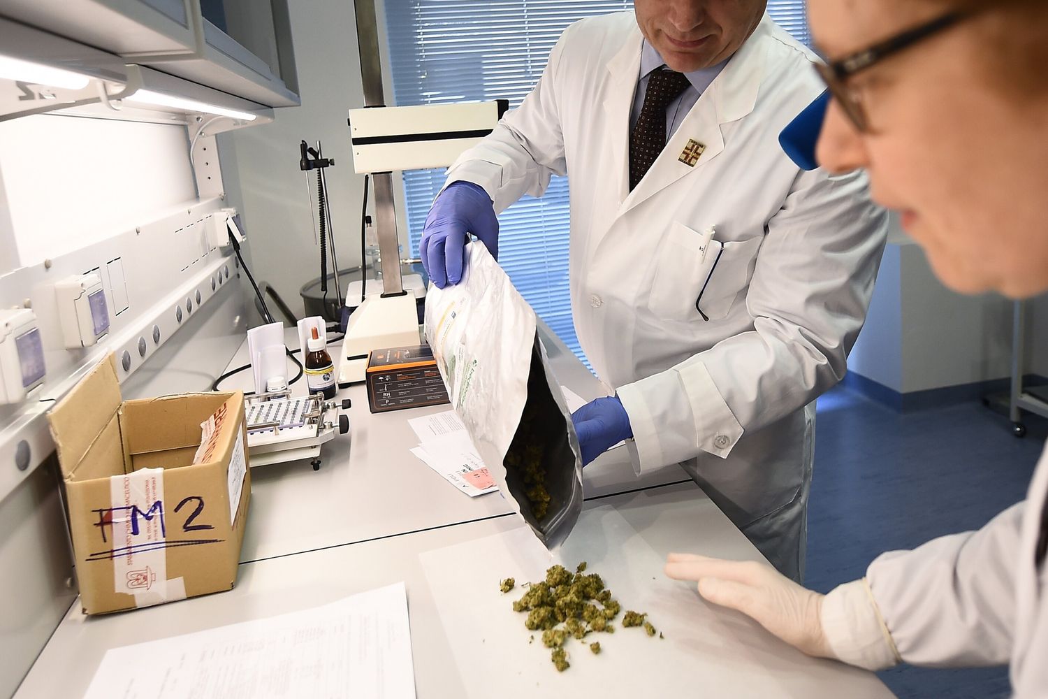 Lo stabilimento chimico farmaceutico militare di Firenze, che ha avviato la produzione di cannabis terapeutica in Italia