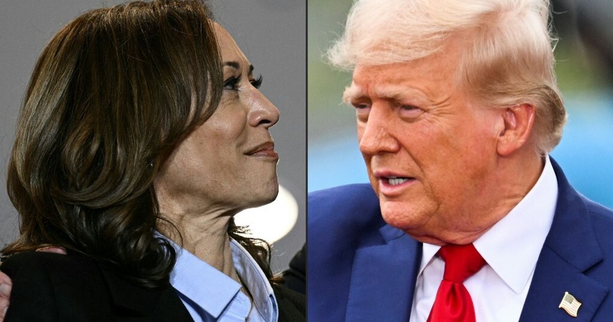 “Harris déteste les chats.” La nouvelle stratégie sociale de Trump