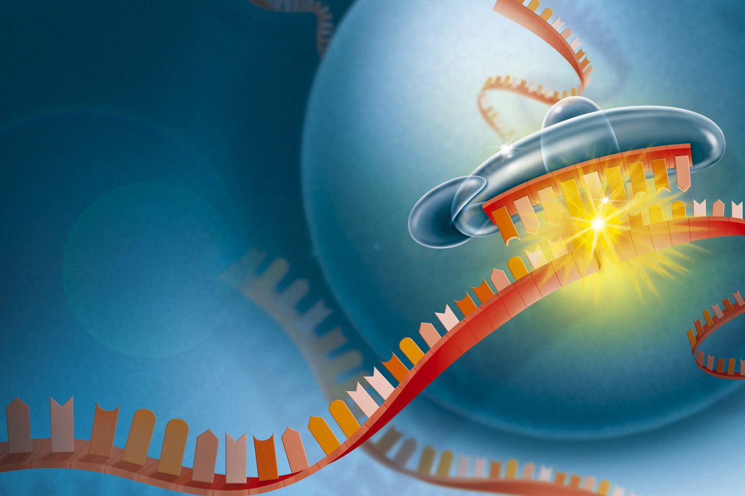 Codice genetico mRna