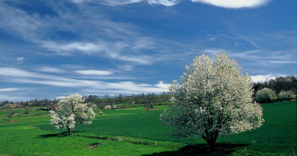 Meteo salgono 