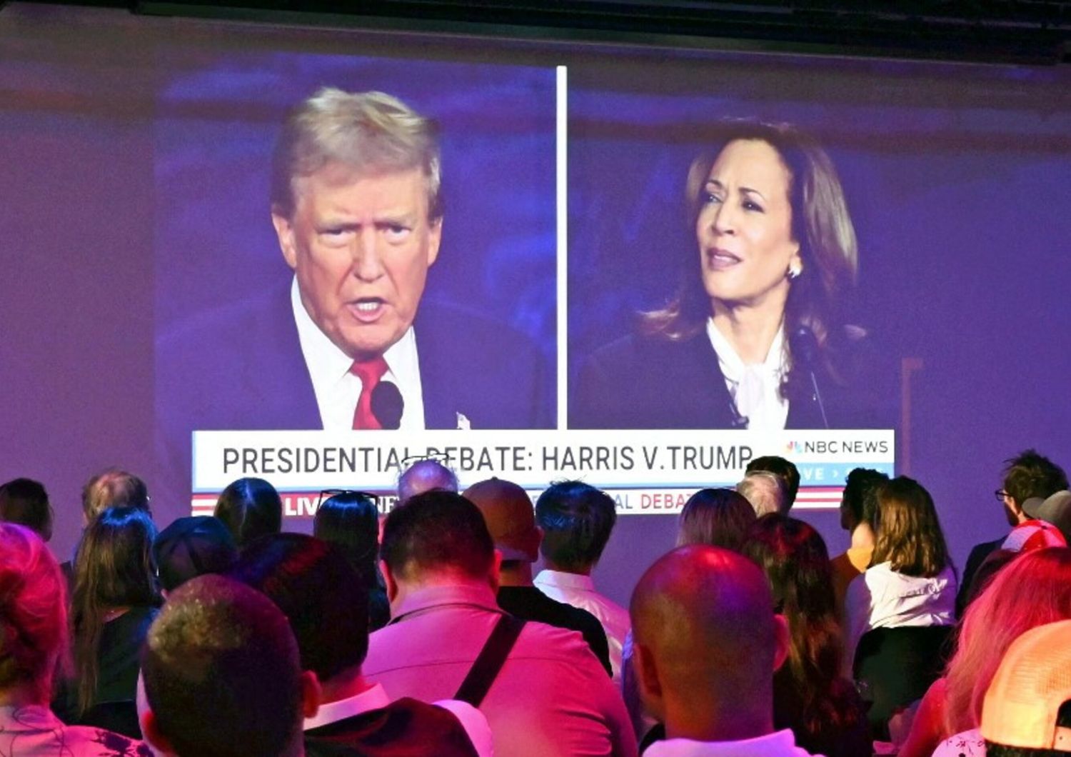 trump - harris