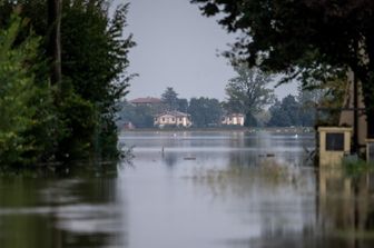 Corsa contro il tempo per salvare 200 vitelli