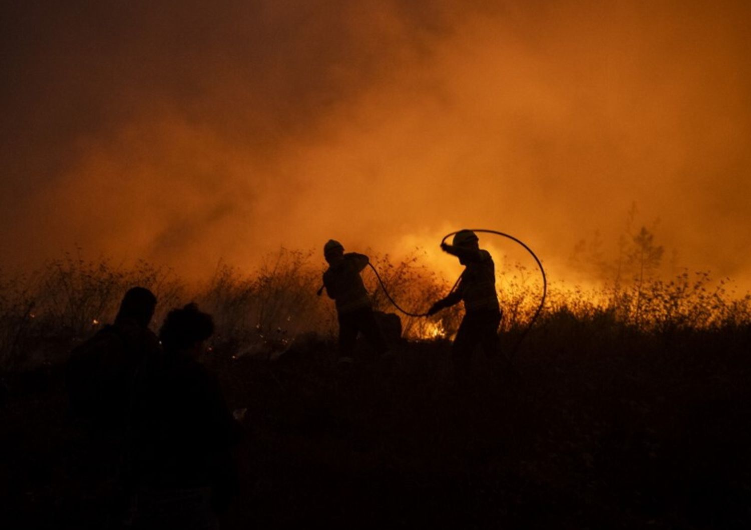 calcio incendi lega portogallo alberi piantati gol