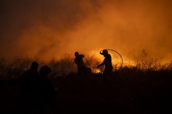 calcio incendi lega portogallo alberi piantati gol