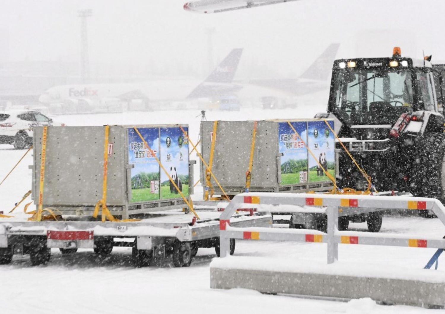 I container con i due panda giganti, il maschio di Hua Bao (in finlandese Pyry) e la femmina di Jin Bao Bao (in finlandese Lumi), all'arrivo all'aeroporto di Helsinki, in Finlandia, il 18 gennaio 2018