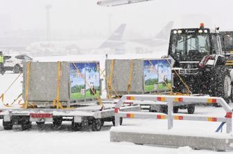 I container con i due panda giganti, il maschio di Hua Bao (in finlandese Pyry) e la femmina di Jin Bao Bao (in finlandese Lumi), all'arrivo all'aeroporto di Helsinki, in Finlandia, il 18 gennaio 2018