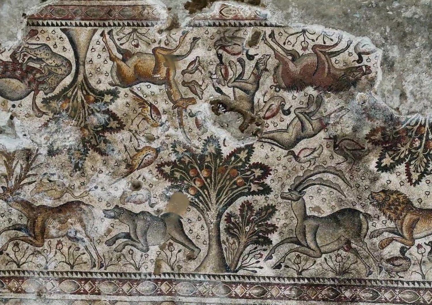 I mosaici ritrovati