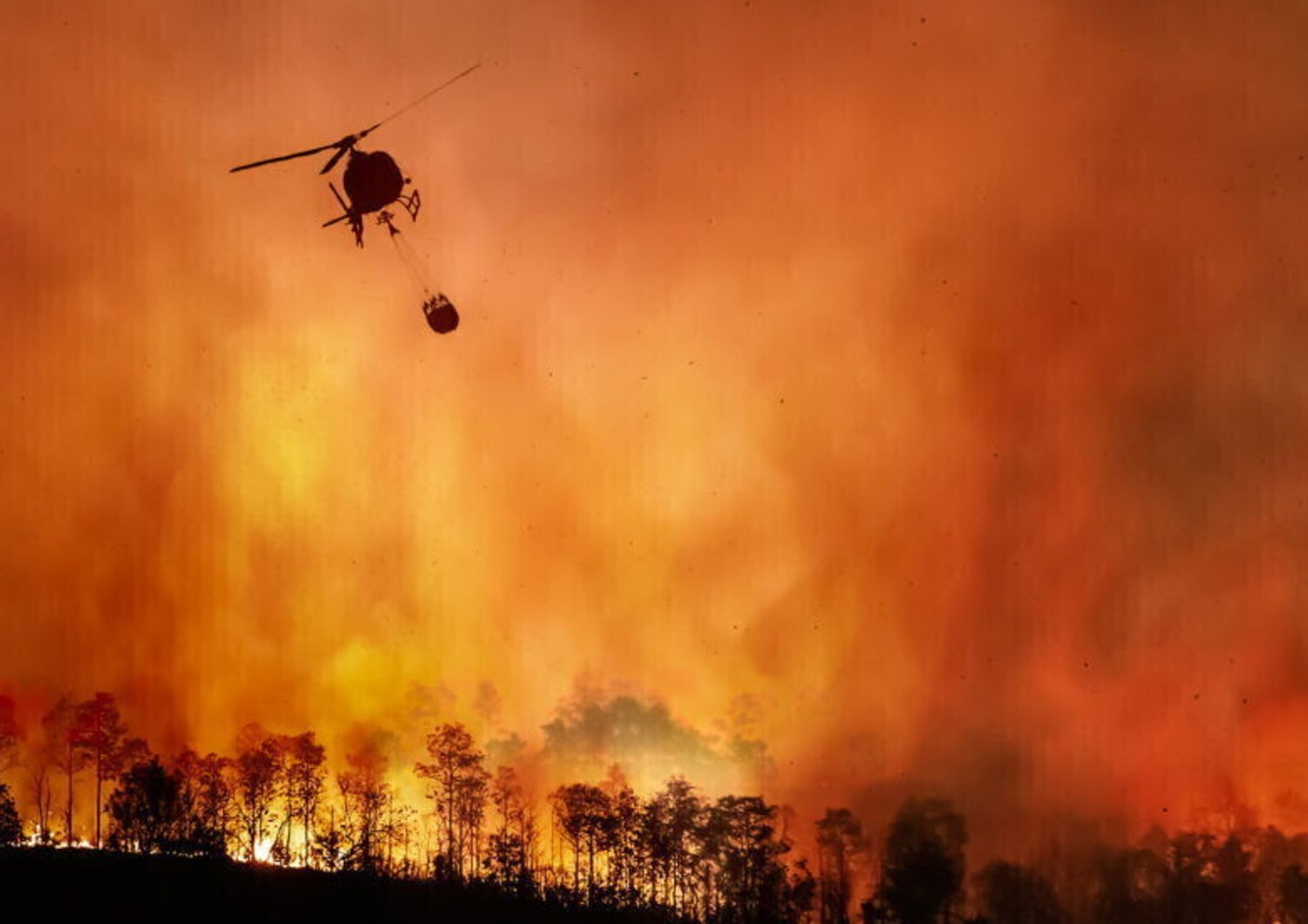 Un furioso incendio in un’area boschiva con un elicottero che risponde nel cielo