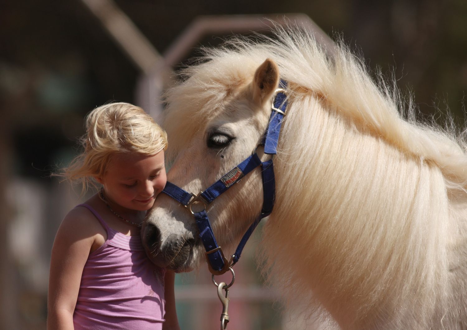 interazione animali microbioma bambini