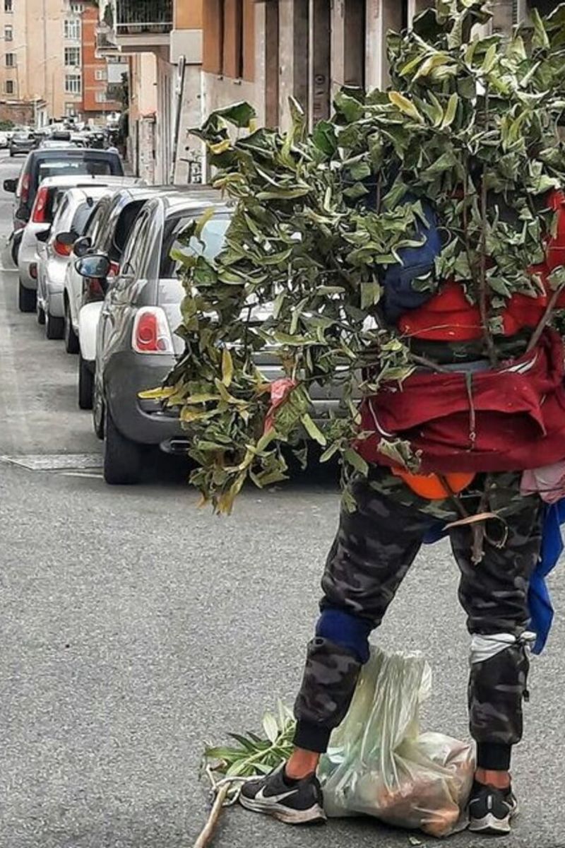 arrestato a roma ostacoloman uomo vestito da albero