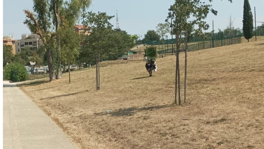 Arrestato a Roma 'Ostacoloman', l'uomo vestito da albero