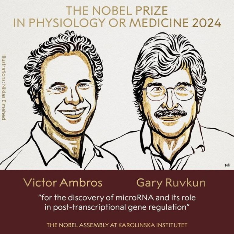 nobel medicina americani ambros ruvkun studi rna