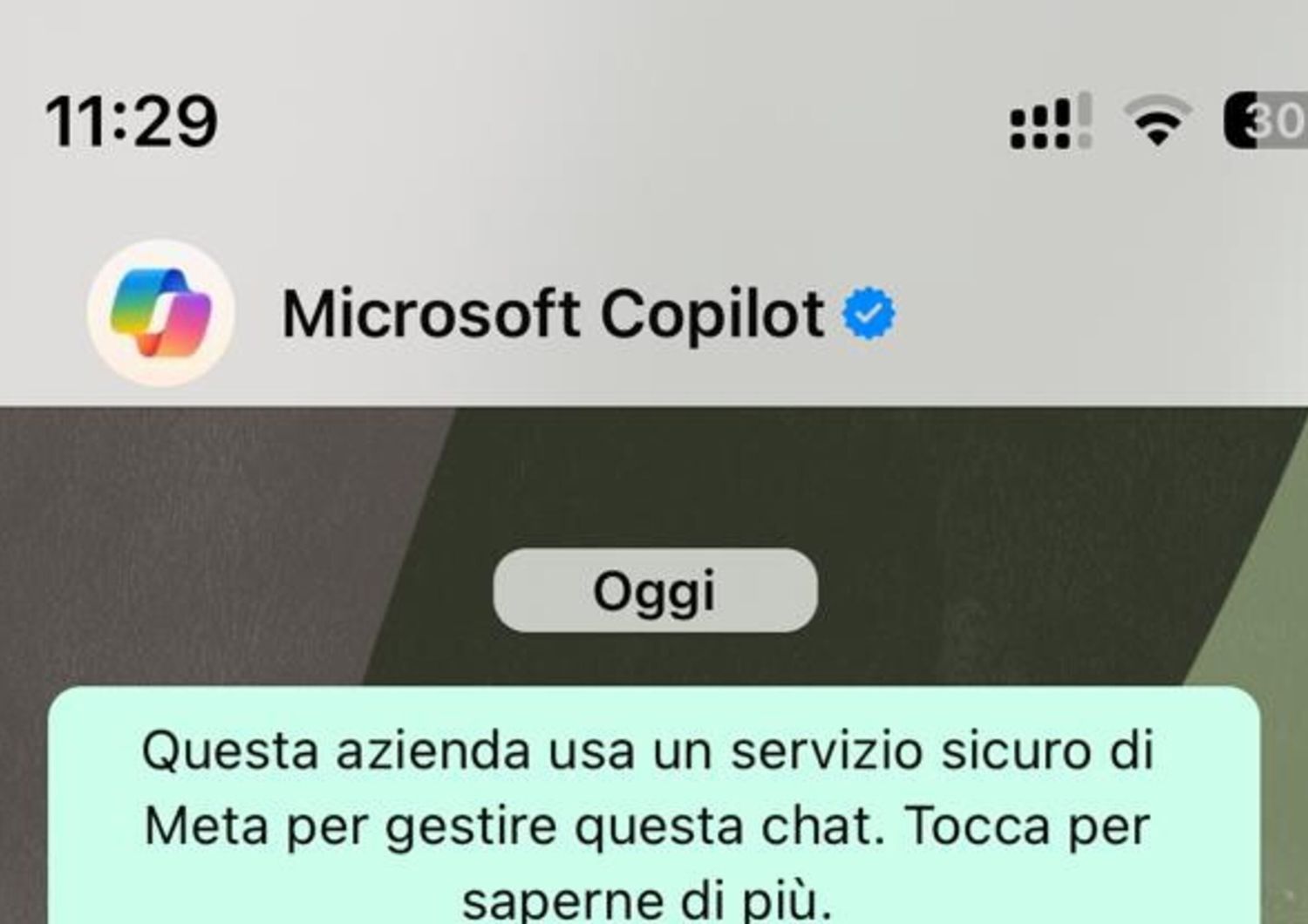 debutta copilot intelligenza artificiale microsoft whatsapp cosa puo davvero fare