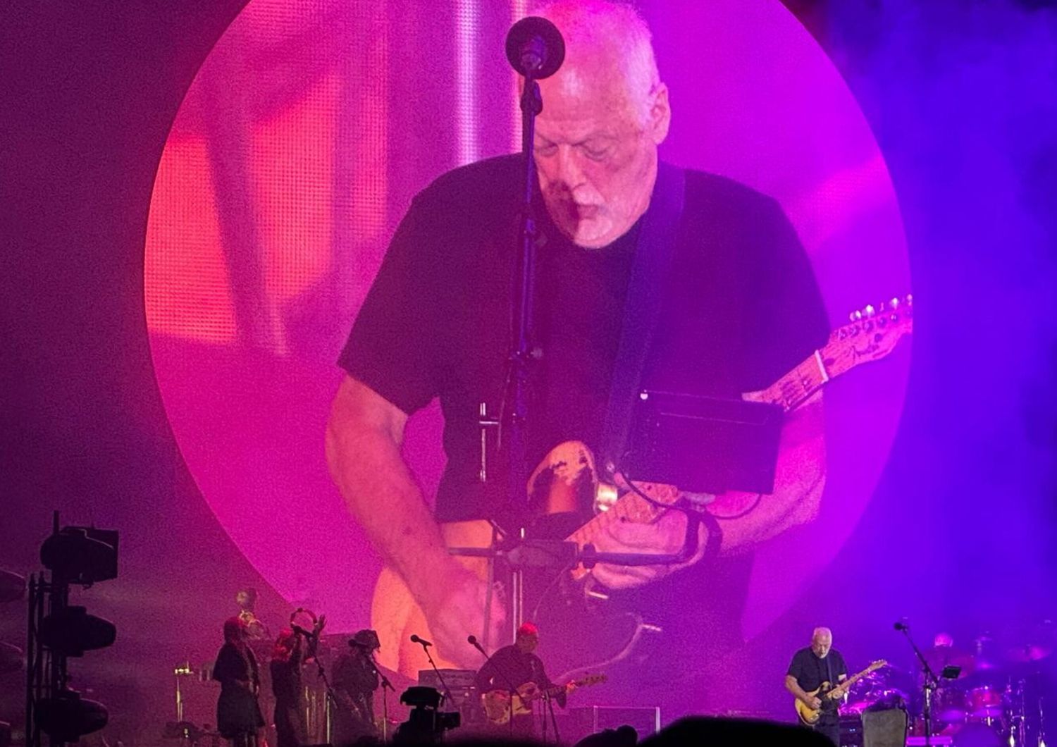 david gilmour circo massimo chitarra chi e calzolaio via bravetta