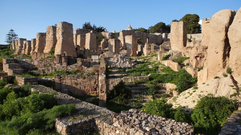 Vue des ruines du quartier punique sur le versant sud de la colline de Byrsa. Carthage