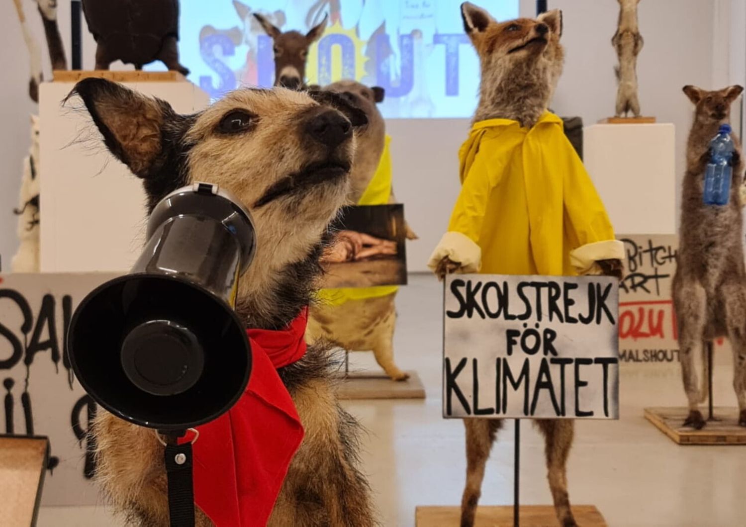 protesta animali alberto michelon frigoriferi milanesi