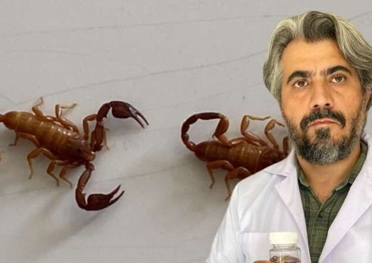 Scopre una nuova specie di scorpione e la chiama col nome della moglie, "mi è sempre stata vicina"