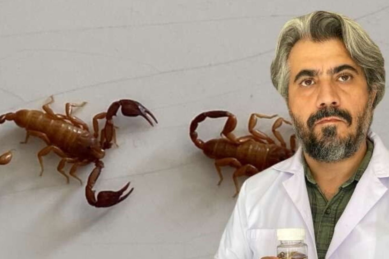 Scopre una nuova specie di scorpione e la chiama col nome della moglie, "mi è sempre stata vicina"