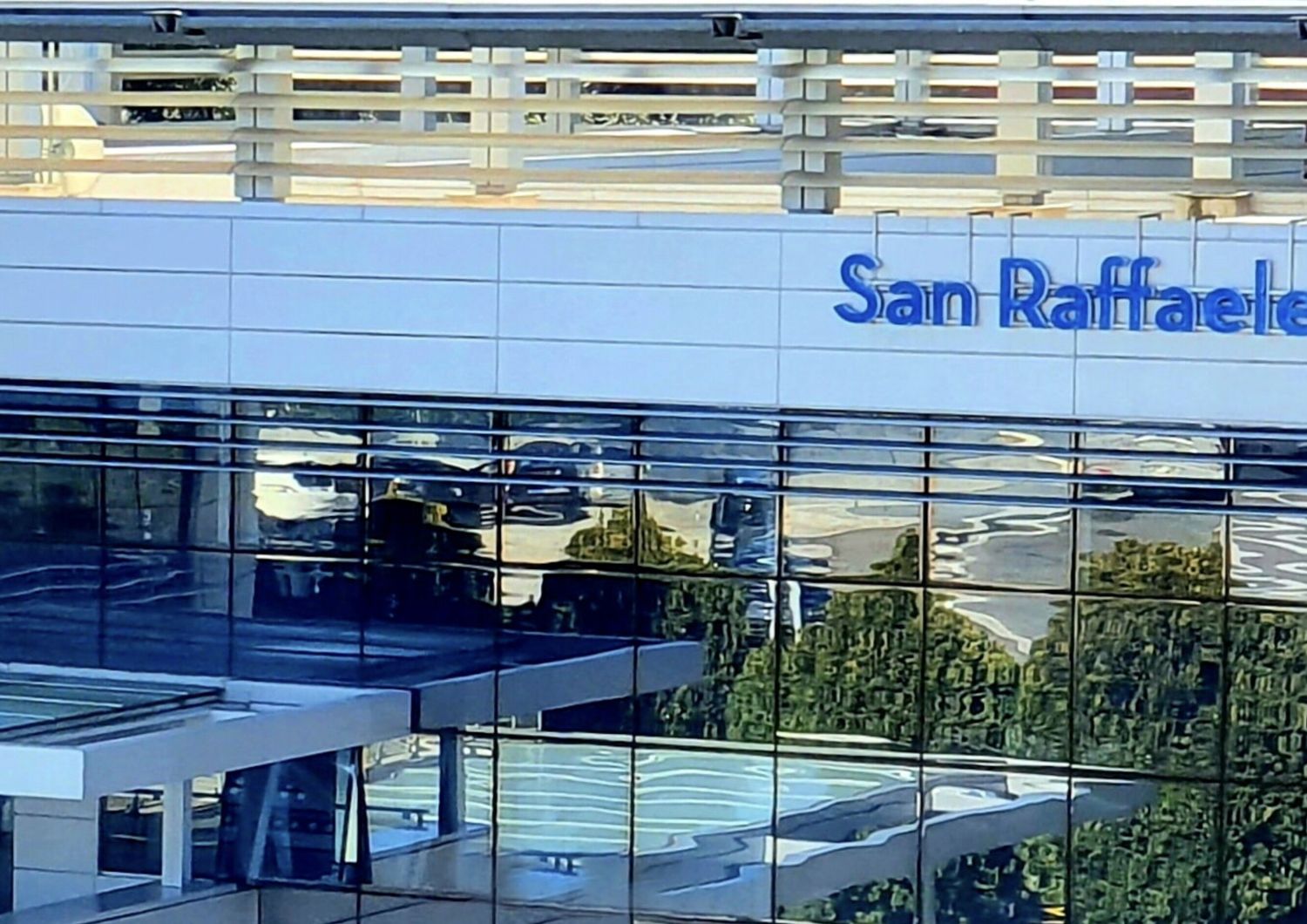ricercatori IRCCS San Raffaele eccellenze stanford