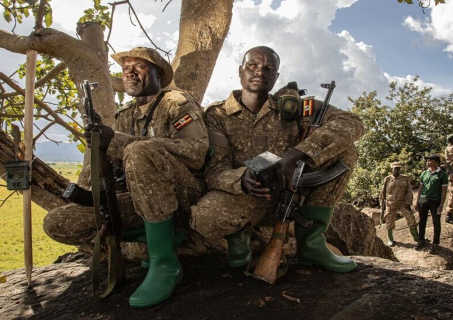 Perchè i ranger stanno monitorando la popolazione dei leoni in Uganda