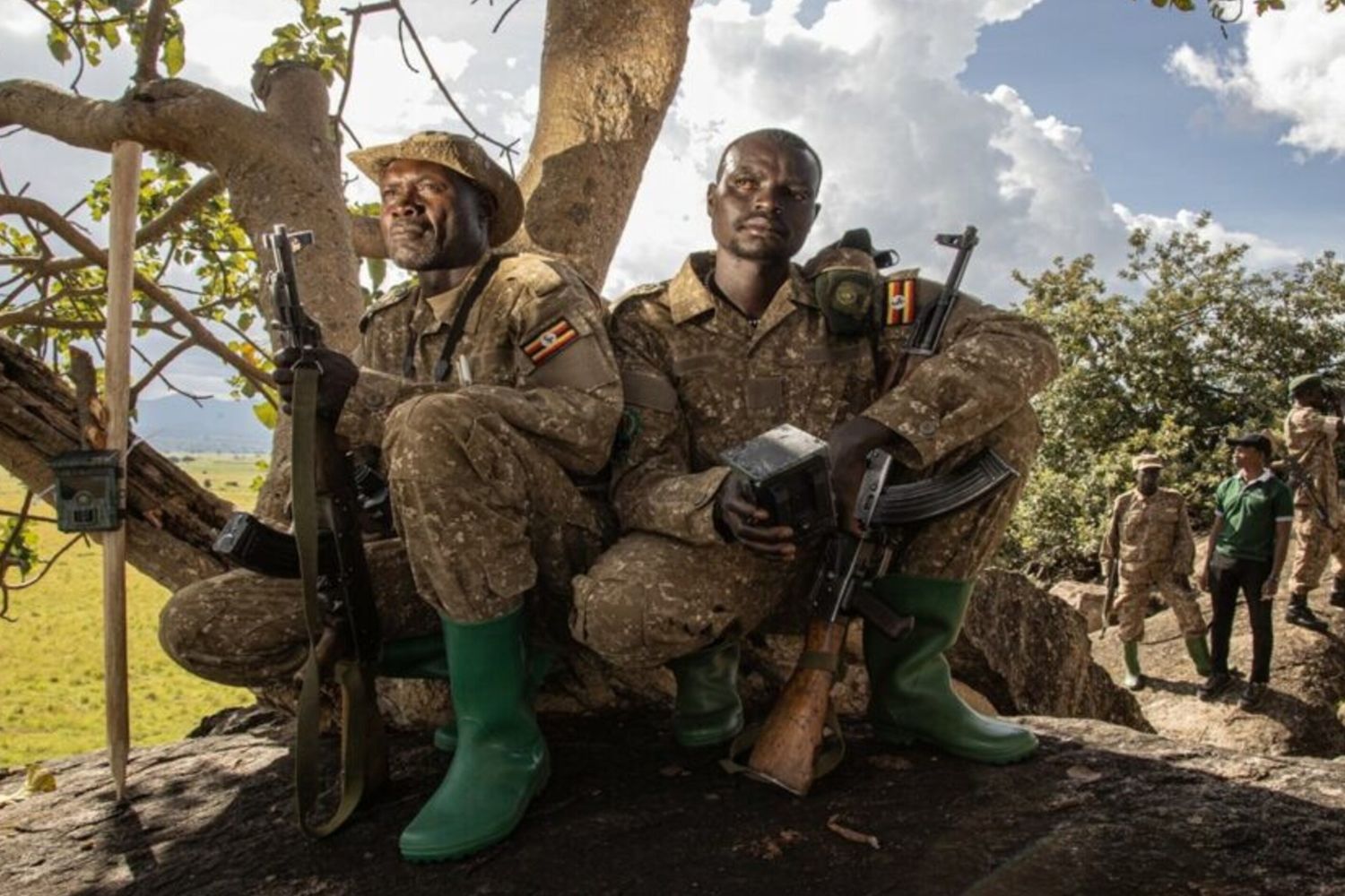 Perchè i ranger stanno monitorando la popolazione dei leoni in Uganda