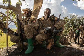 Perchè i ranger stanno monitorando la popolazione dei leoni in Uganda