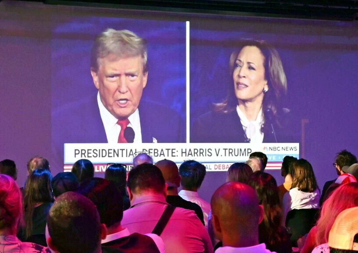 trump - harris