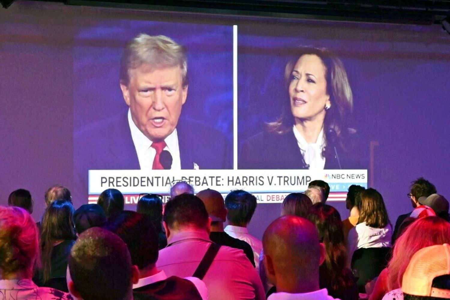 trump - harris