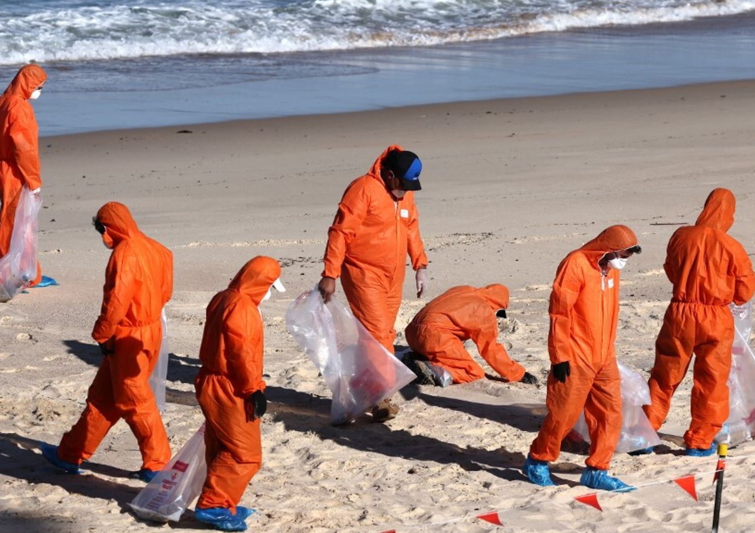 Le strane palle nere sulle spiagge australiane