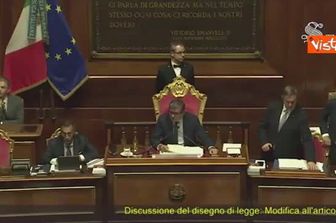 La maternità surrogata è reato universale, l'ok in Senato con 85 voti favorevoli e 58 contrari