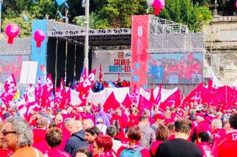 1029x784