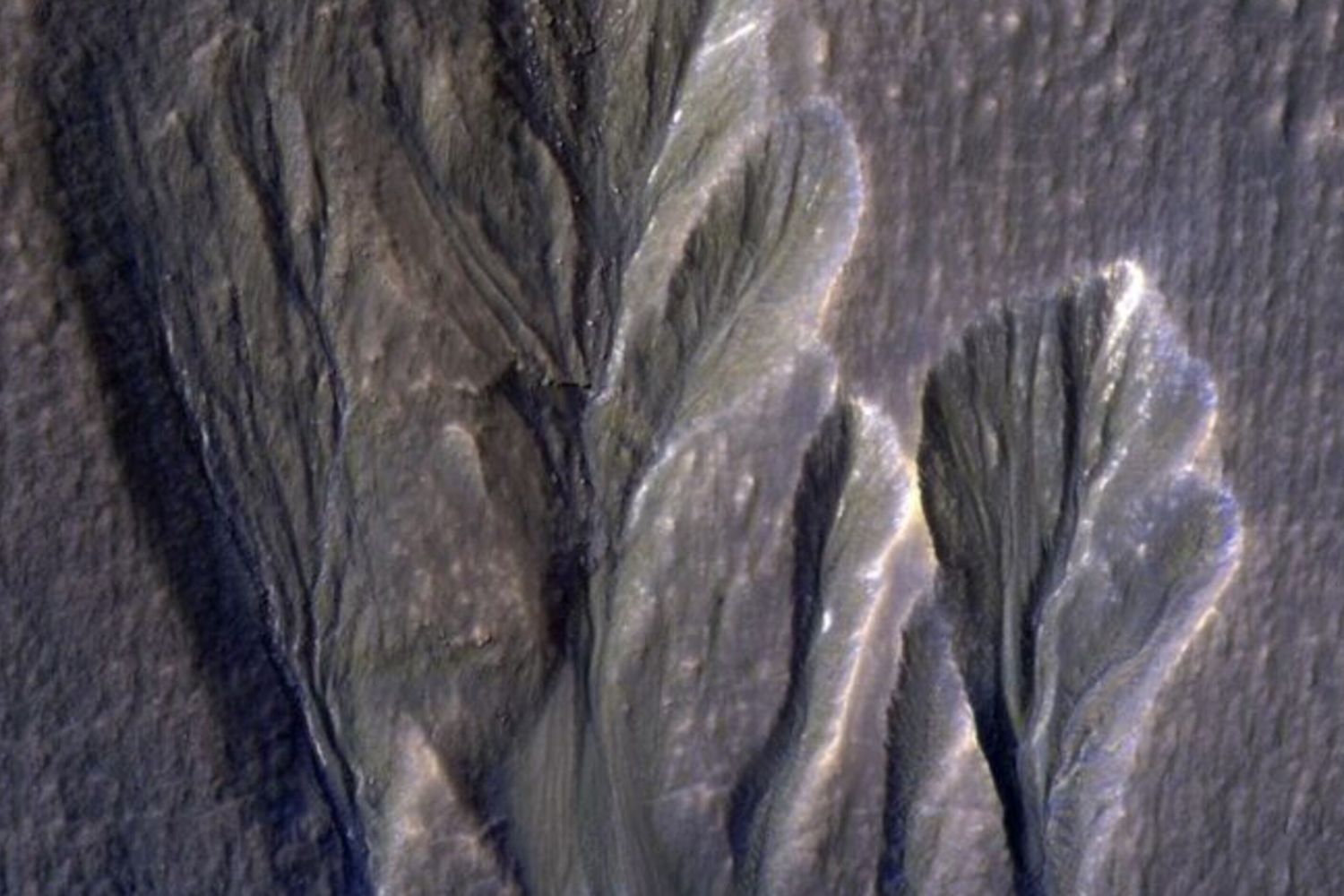 La vita potrebbe resistere sotto il ghiaccio di Marte