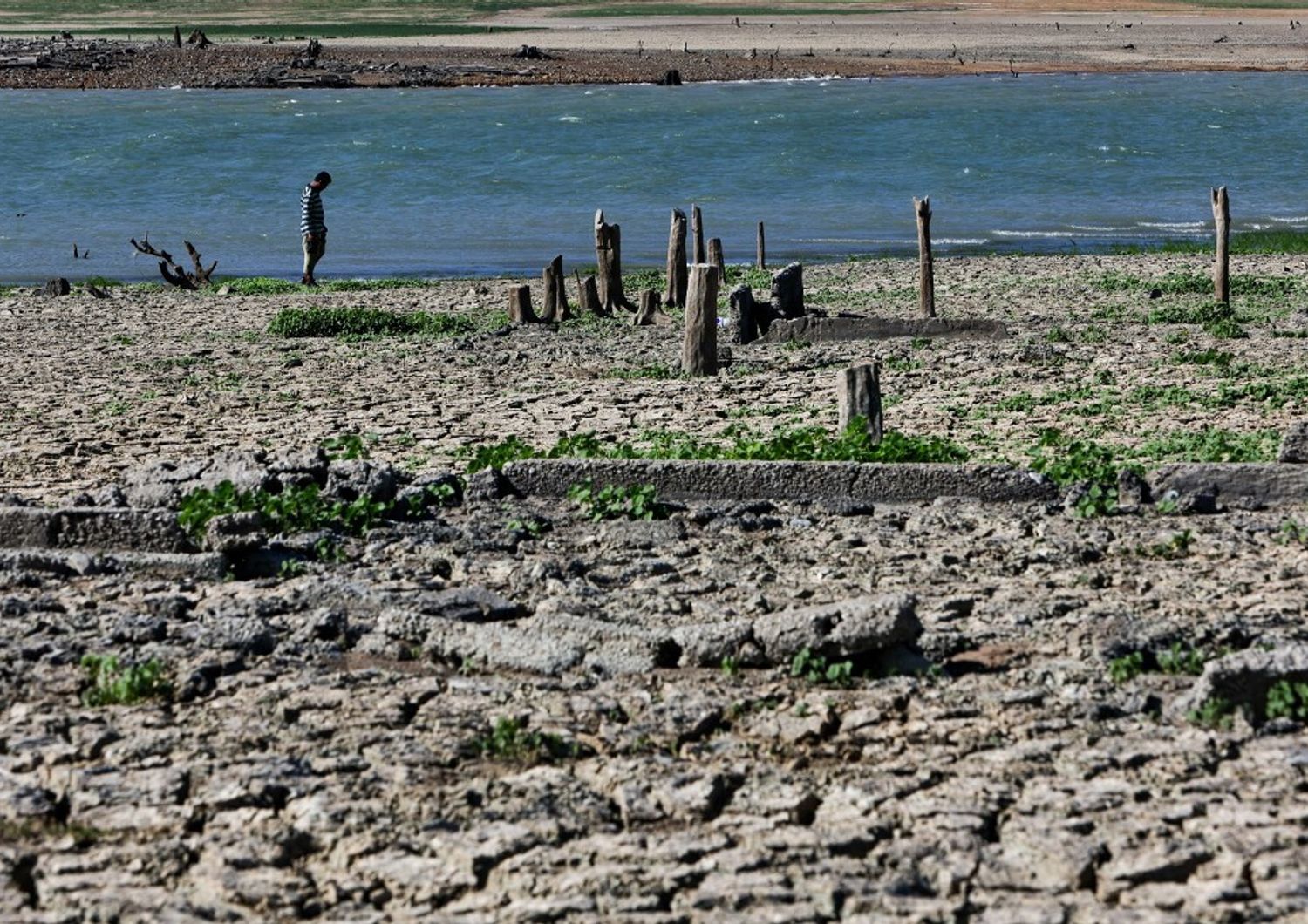 scienza el nino ha almeno 250 milioni di anni