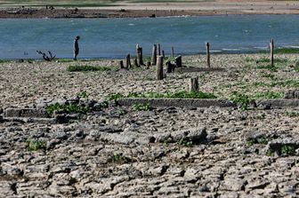 scienza el nino ha almeno 250 milioni di anni