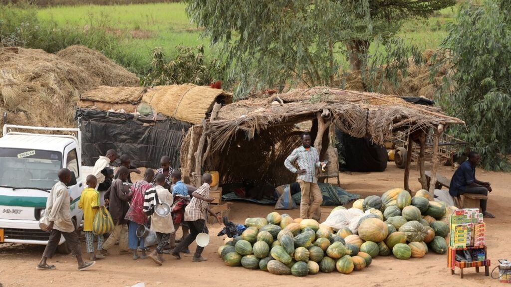 Vente de fruits dans la rue, Niger