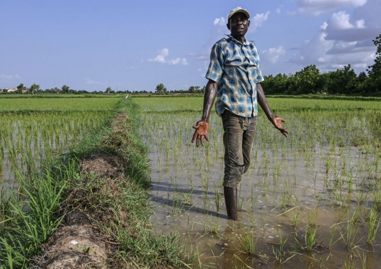 Agriculteur nigérien