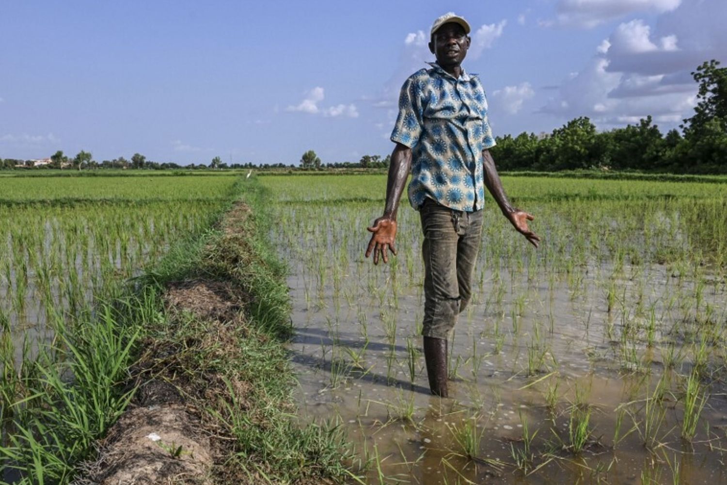 Agriculteur nigérien