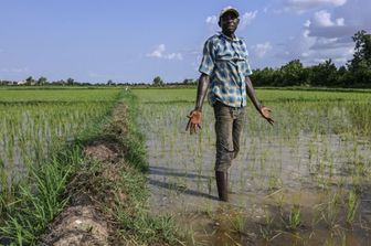 Agriculteur nigérien