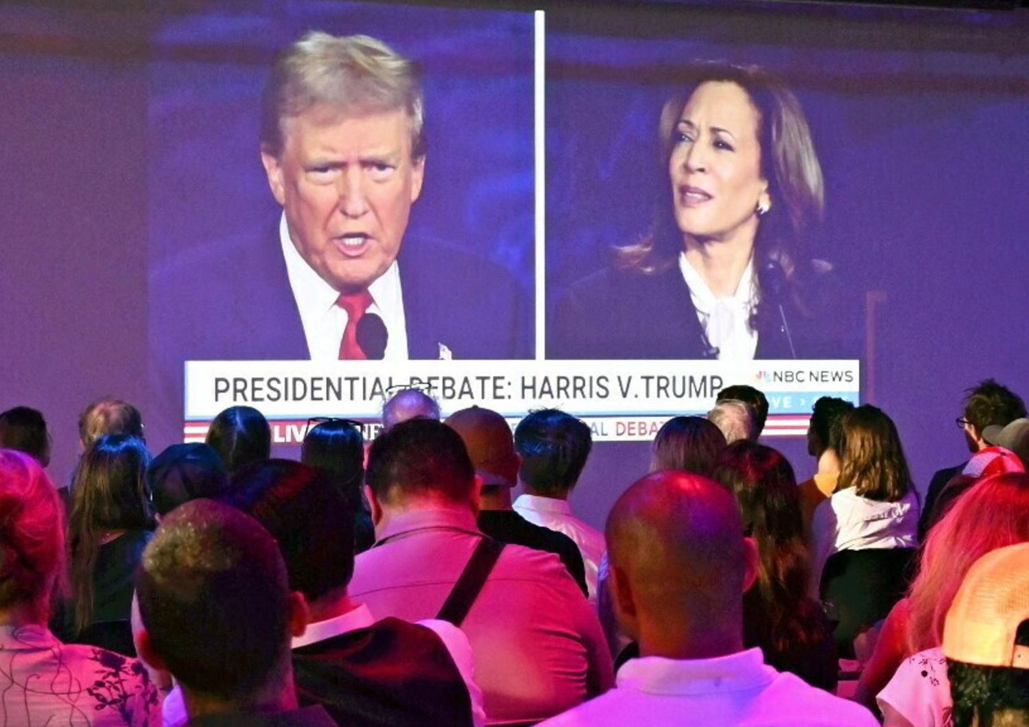 trump - harris