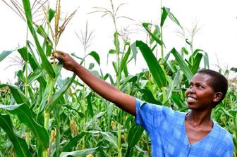 Il fondo per mitigare gli impatti della siccità causata dal passaggio di El Niño in Mozambico sosterrà gli agricoltori