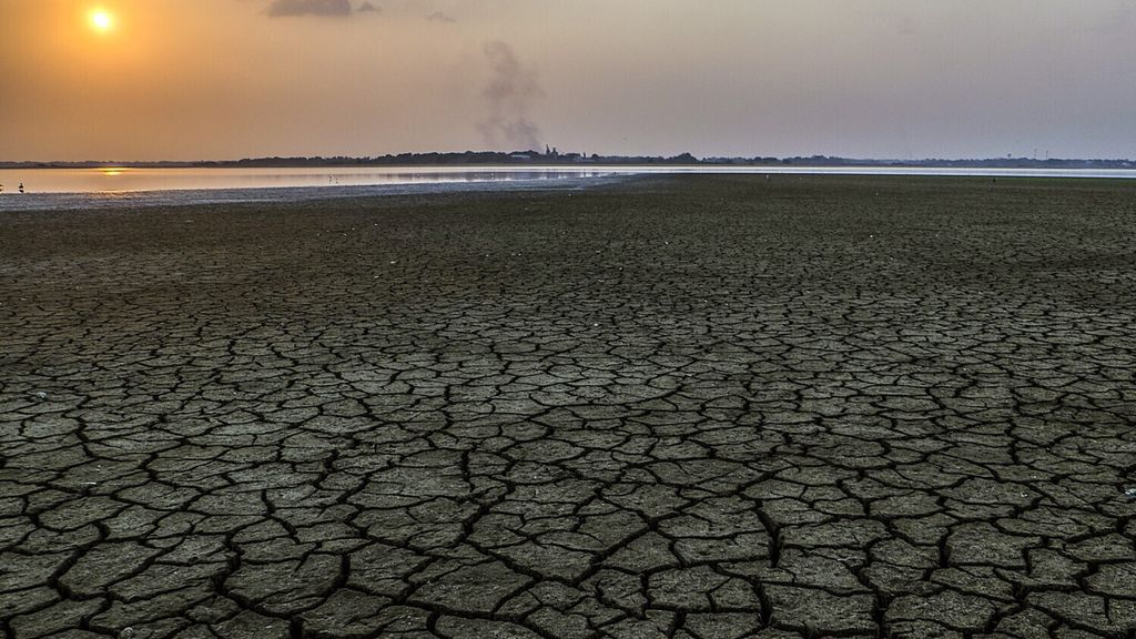 Impact de la sécheresse provoqué par le passage d'El Niño