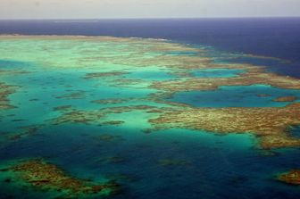 Contrordine, le barriere coralline sono più resistenti del previsto al climate change