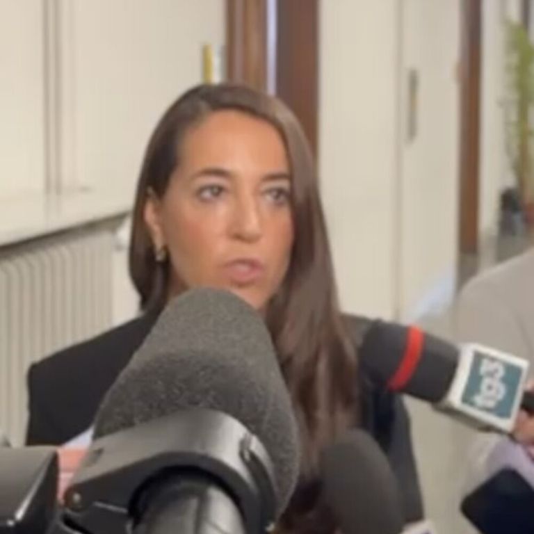 Licia Ronzulli testimonia sul caso Equalize