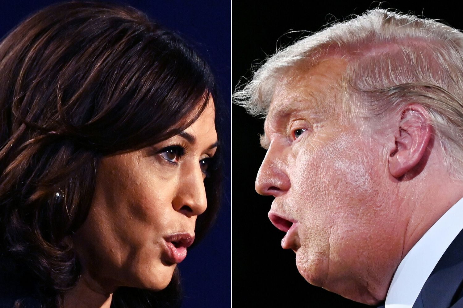 Harris chiama Trump e si congratula per la vittoria